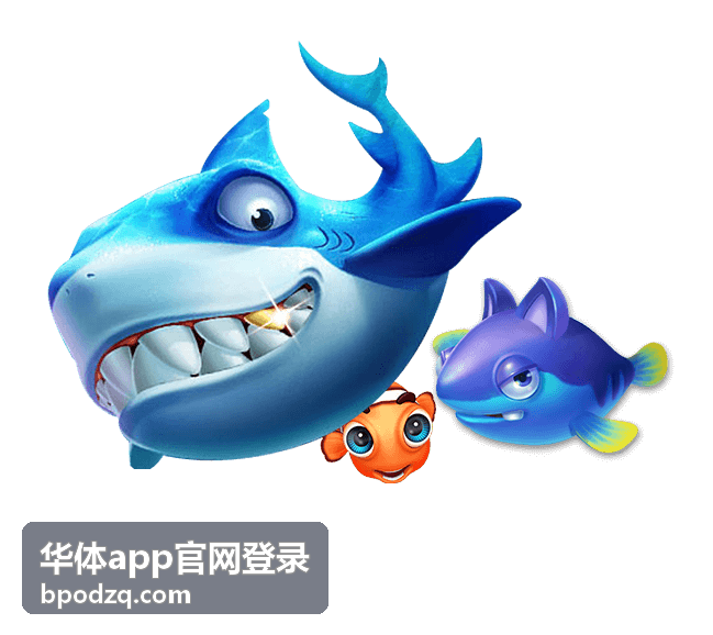华体app官网登录体育深度报道封面